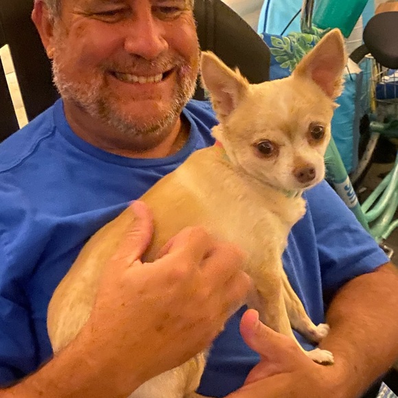 Meet your Posher, Darragh - Picture 5 of 8